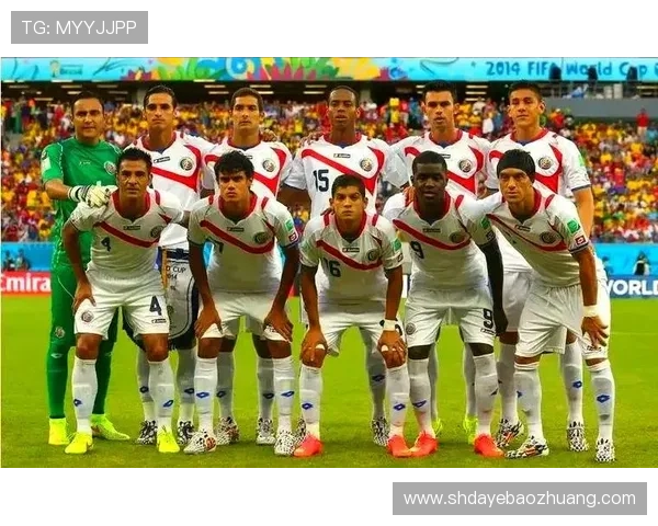 14号足球明星的传奇之路与辉煌成就揭秘 14号足球明星的传奇之路与辉煌成就揭秘