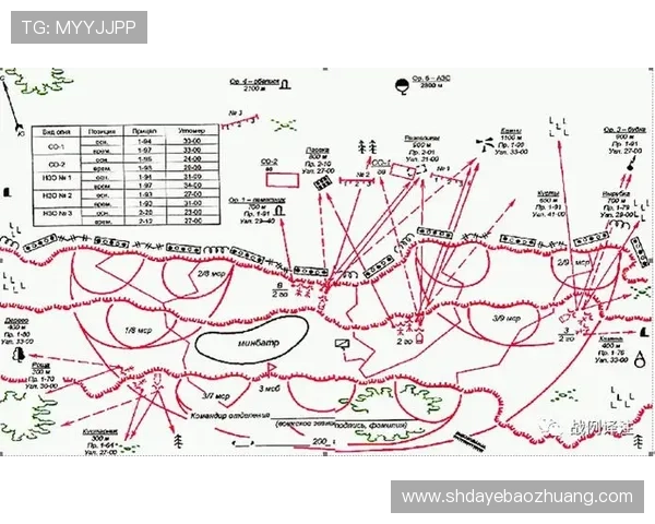 南京排球队防反战术深度解析与实战应用探讨 南京排球队防反战术深度解析与实战应用探讨