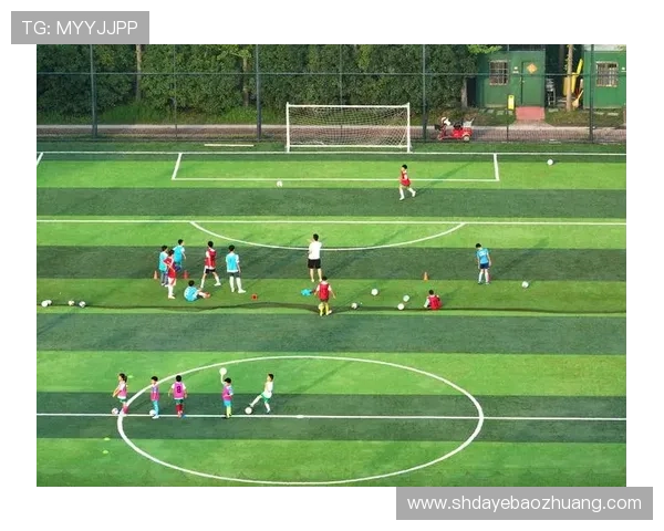 最美韩国足球明星的魅力与成就揭秘，盘点他们在绿茵场上的风采与影响力