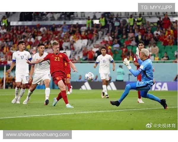 杭州排球队在世界杯预选赛中以74分稳居积分榜首位