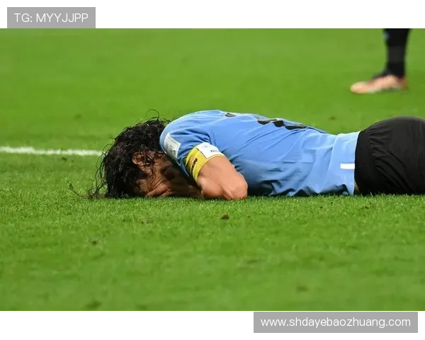 我心中永远的足球英雄与他不凡的传奇人生