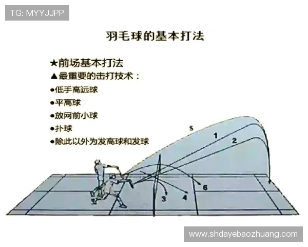 羽毛球之巅:深入西安羽毛球队的技术与训练揭秘 羽毛球之巅:深入西安羽毛球队的技术与训练揭秘