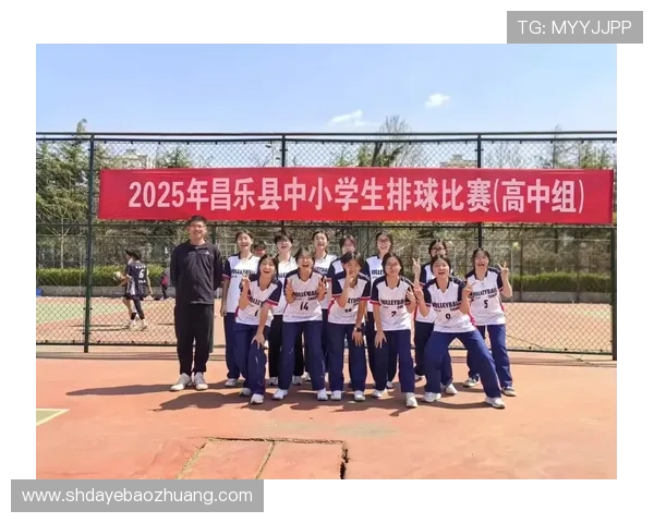 权威发布：2023年排球比赛实力与经验综合排行榜揭晓