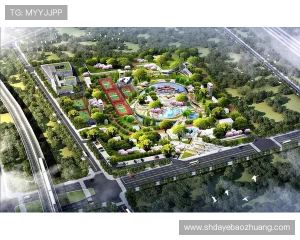 武汉网球队个人能力分析与表现评估的深度研究与探讨