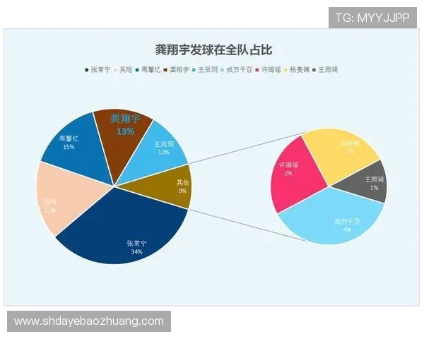 成都排球队挑战赛战术分析与表现点评全面解析